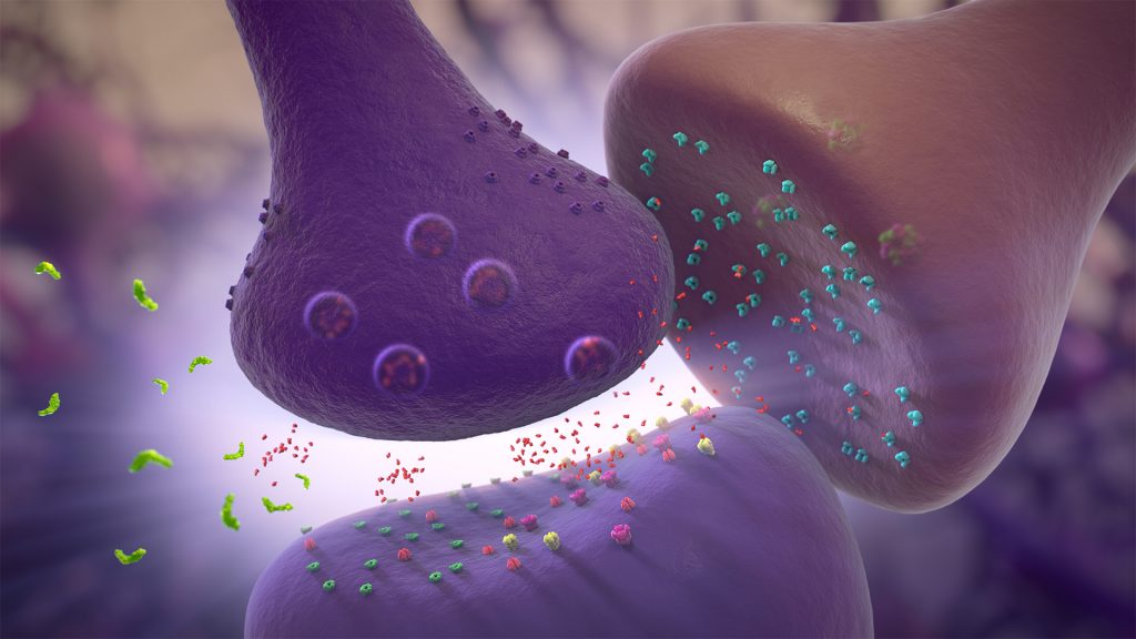 Illustration of a neural synapse showing two purple neuron endings with multicolored neurotransmitters, highlighting glutamate modulation as they are released and received in the synaptic cleft. The background is softly blurred with a light glow.