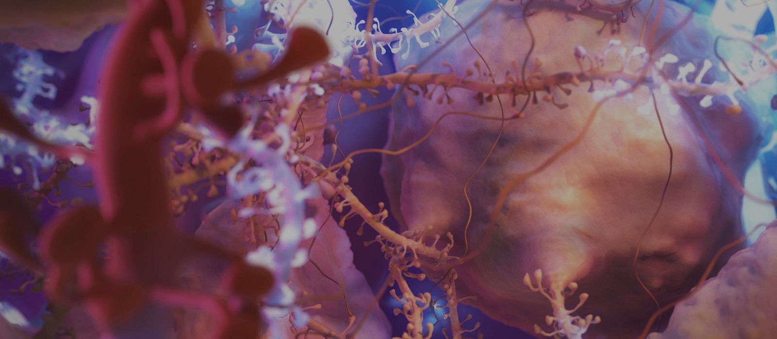 packed neurons illustration