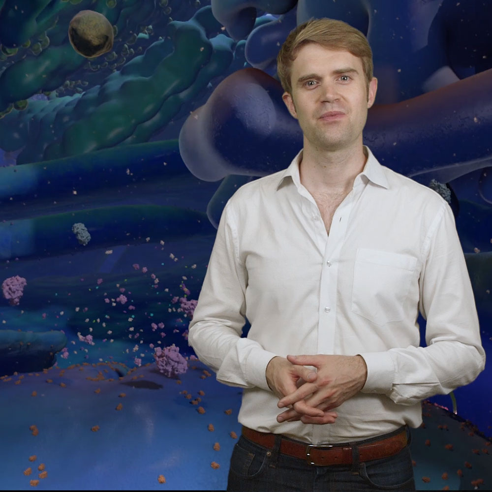Tour of the Cell – Companion to Cellscape