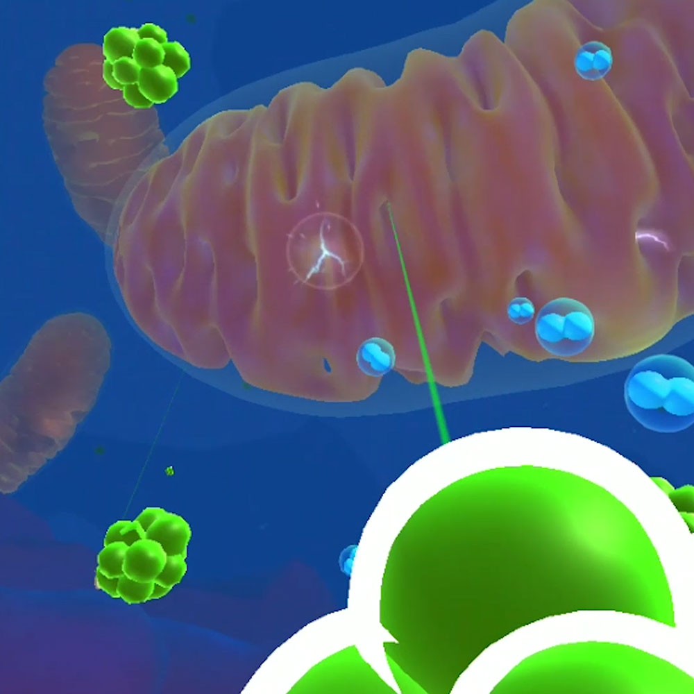 Cell Power Virtual Lab Experience