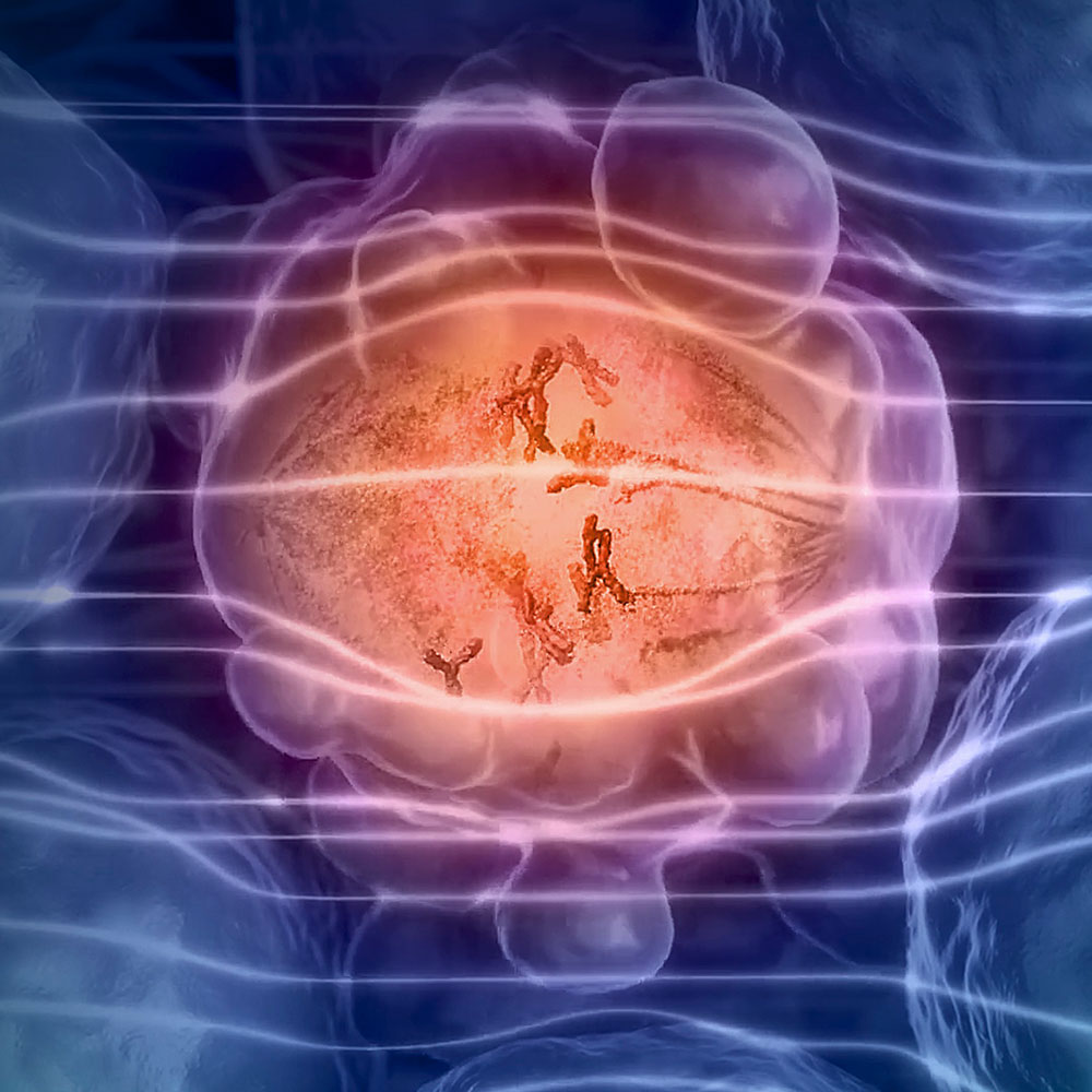 Novocure – TTFields: from Science to Life – Touch Screen Application