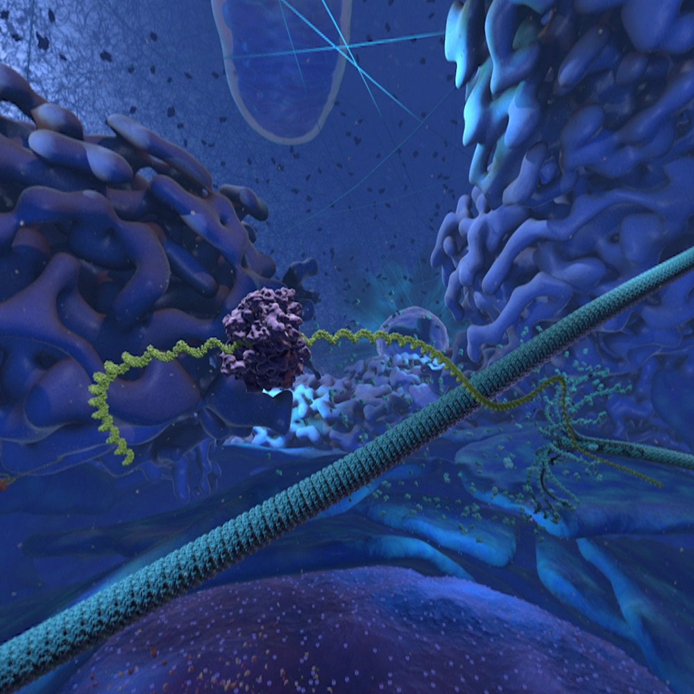 Virtual Reality Cellscape Experience