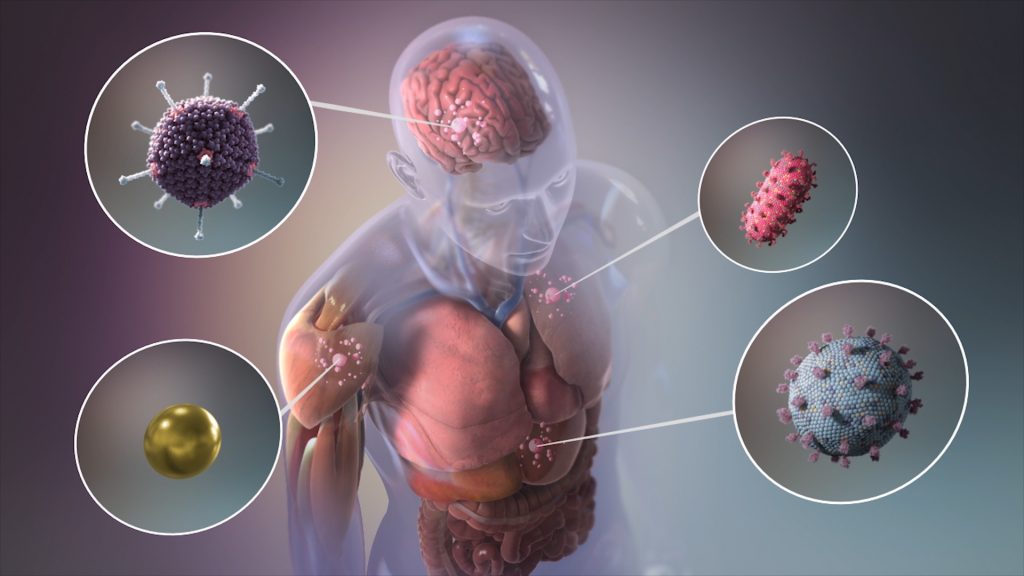 Close-ups of several cells in the human body.