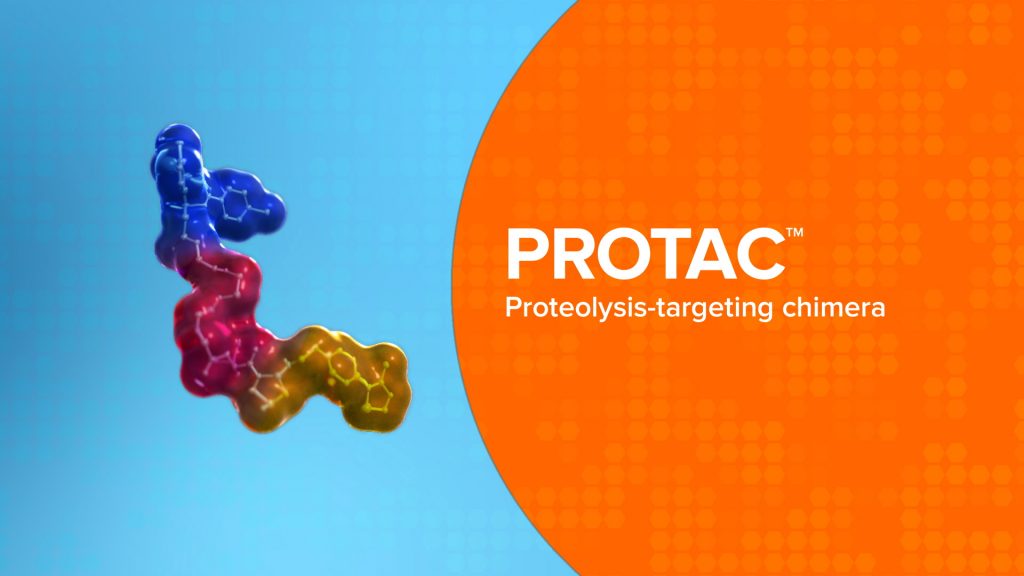 Protac, an experimental treatment, uses the body's own protein disposal system.