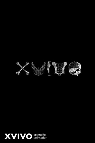 An imaginative XVIVO logo illustrated wallpaper.
