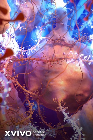 Neuron illustration wallpaper.