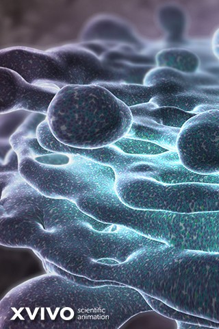 Golgi illustration wallpaper