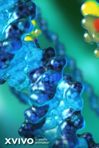 A close-up view of a DNA double helix with vibrant blue and green colors, showcasing the intricate structure. The background is softly blurred, emphasizing the DNA strand. XVIVO scientific animation is noted at the bottom left.