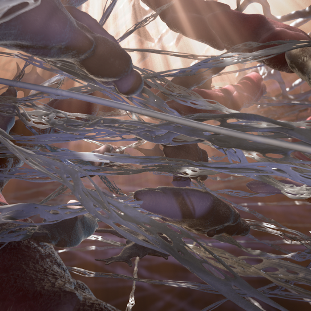 Acera Surgical: Wound Repair