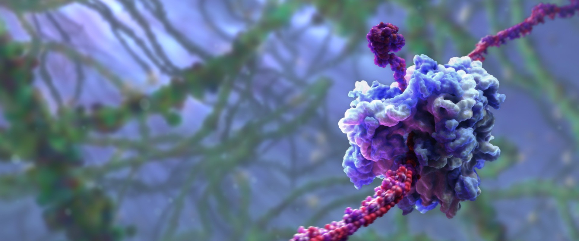 messenger RNA