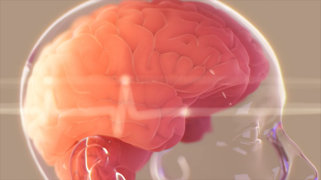 brain 3d illustration