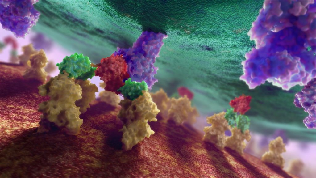 A close-up illustration of molecular structures showcases a green and brown surface. Colorful protein-like shapes, such as red, purple, and yellow, extend from the surface, resembling T Cell Engaging Therapies interacting with a cell membrane in a maverick approach to tackling solid tumor cancers.