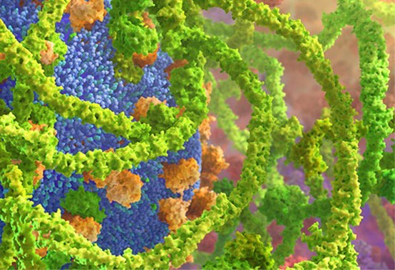 medical animation