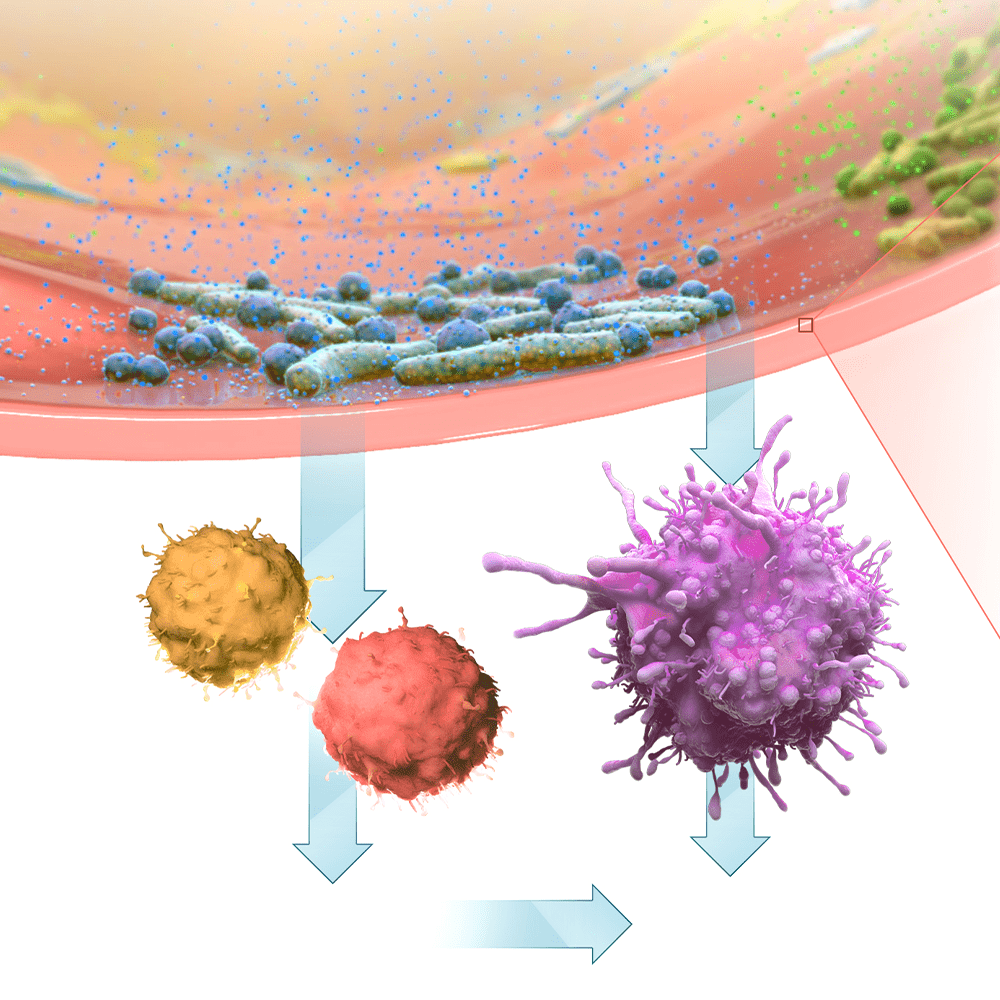 Anti-inflammatory Microbiome