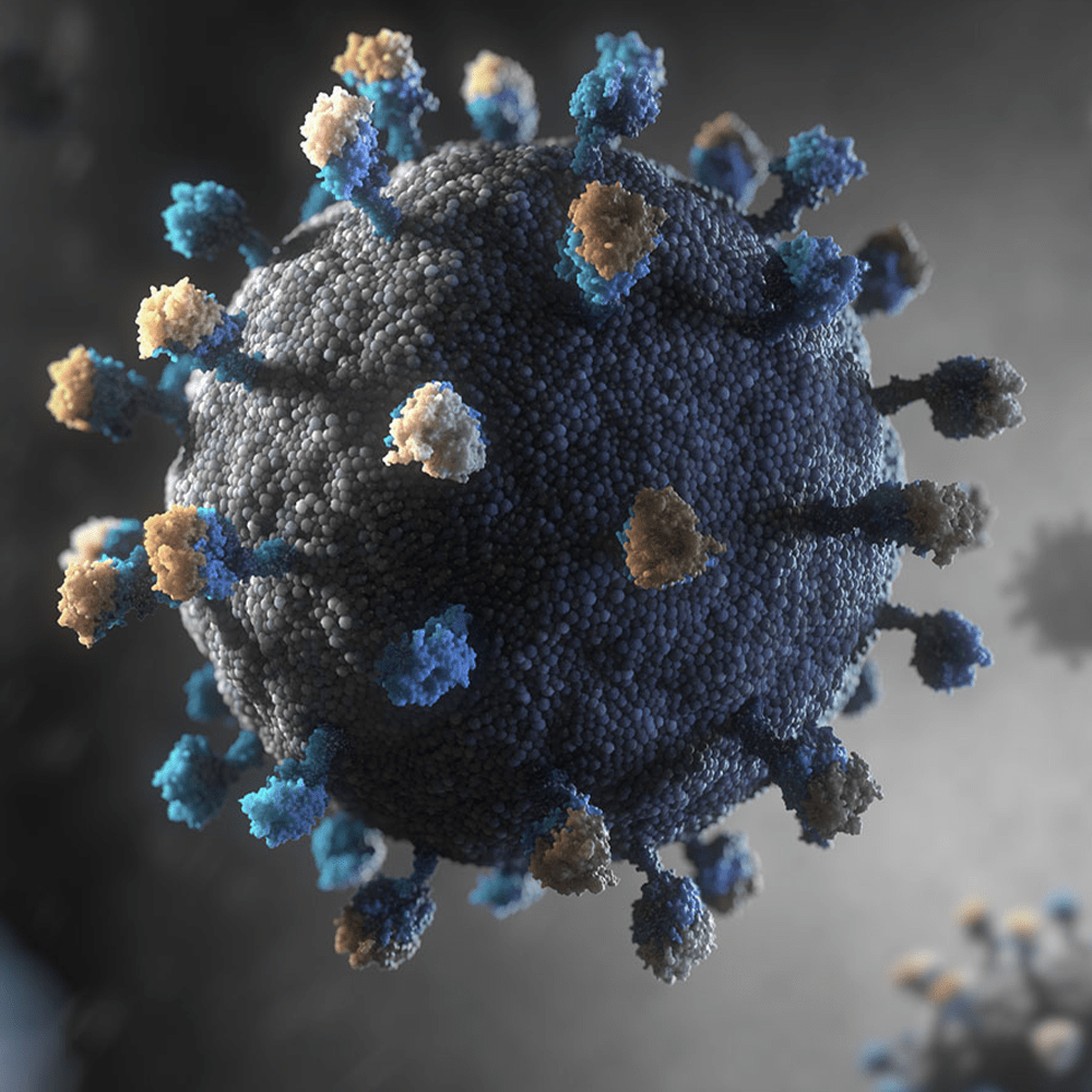 Hepatitis B Illustration
