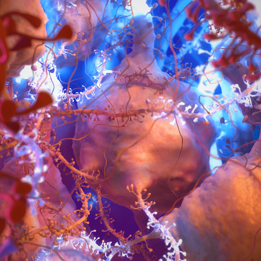 Packed Neurons