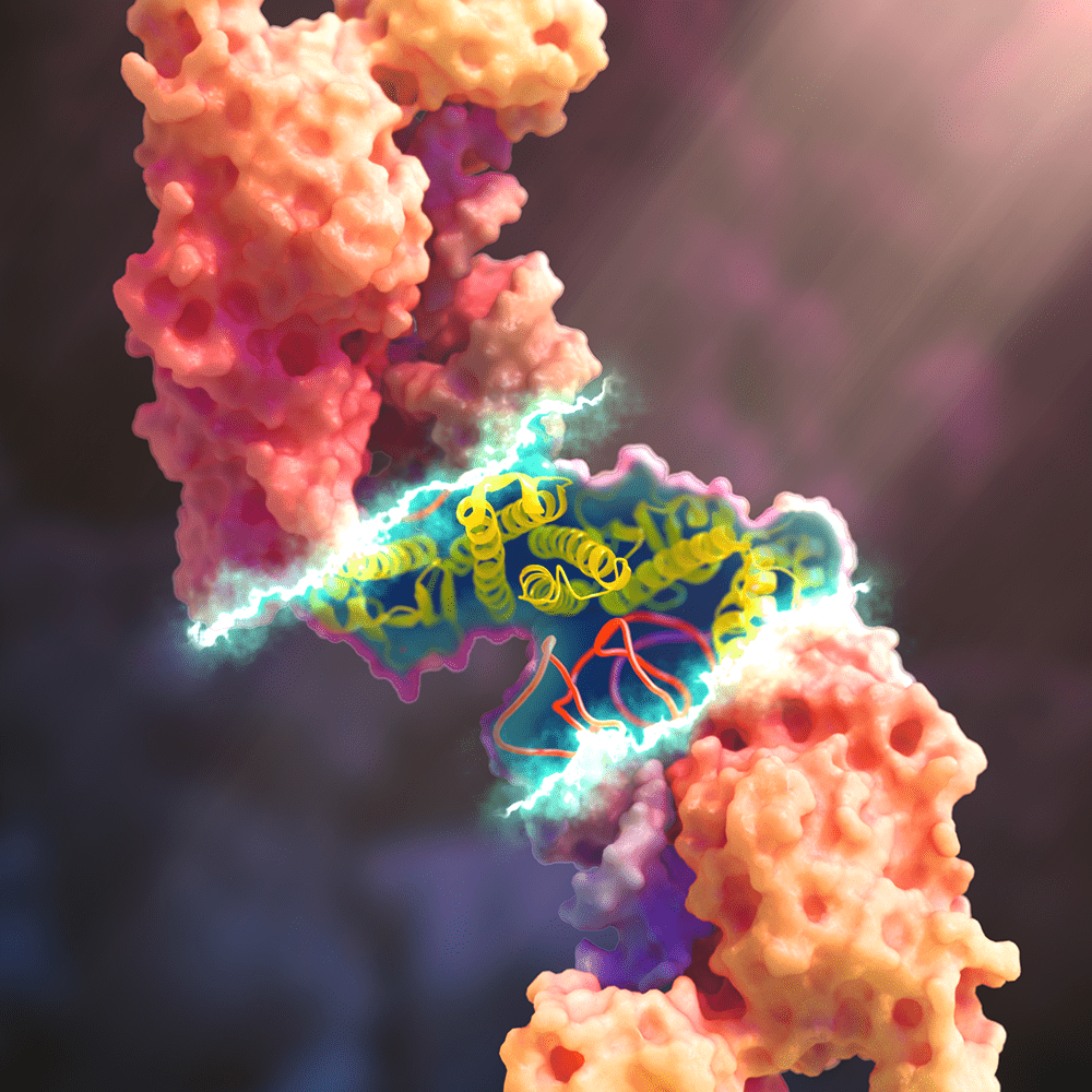 Protein Ribbon Structure