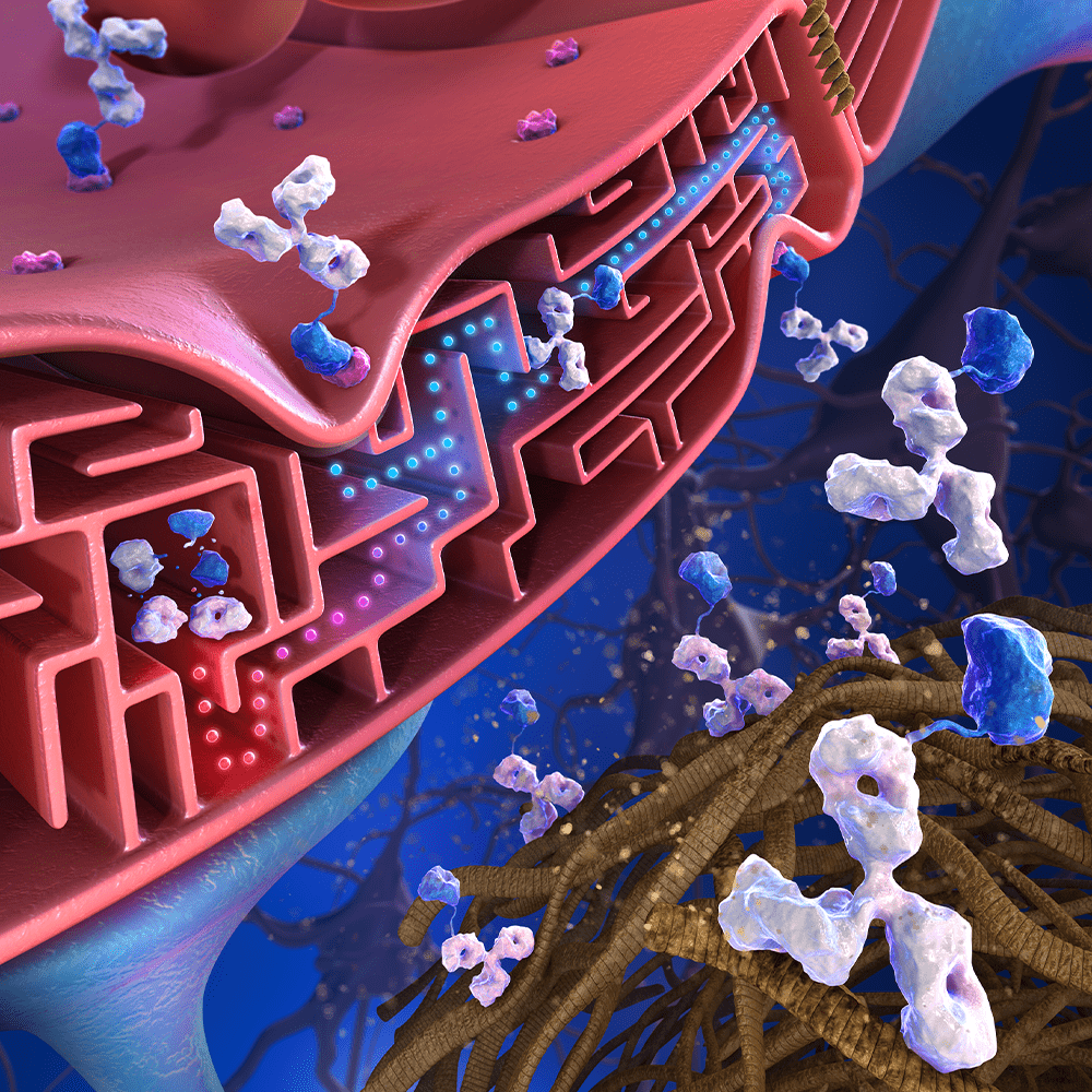 Blood-Brain Barrier