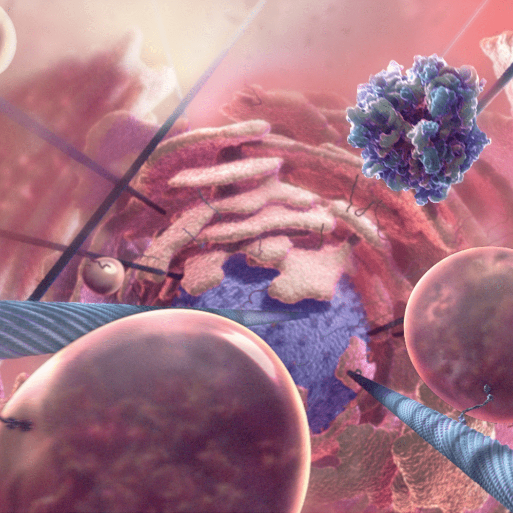 Intracellular Activity