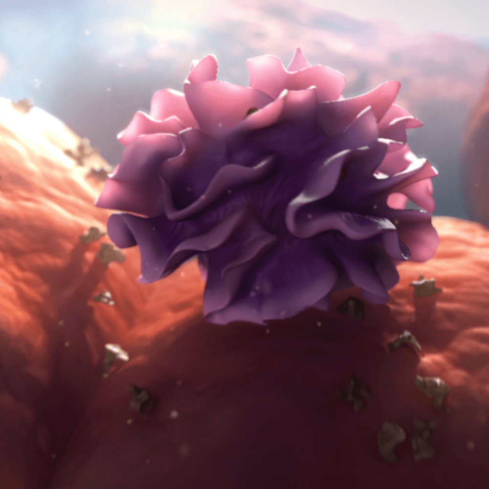 Dendritic Cell