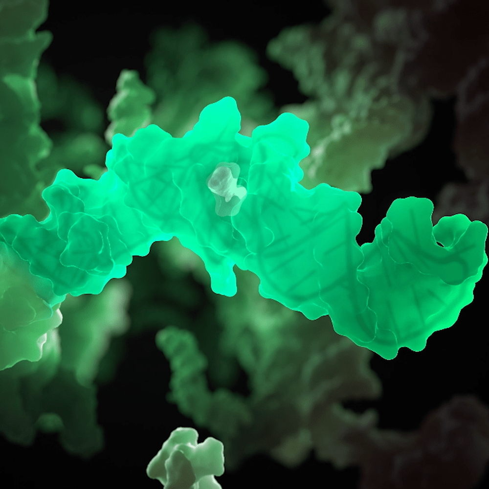 RNA SPINACH TECHNOLOGY