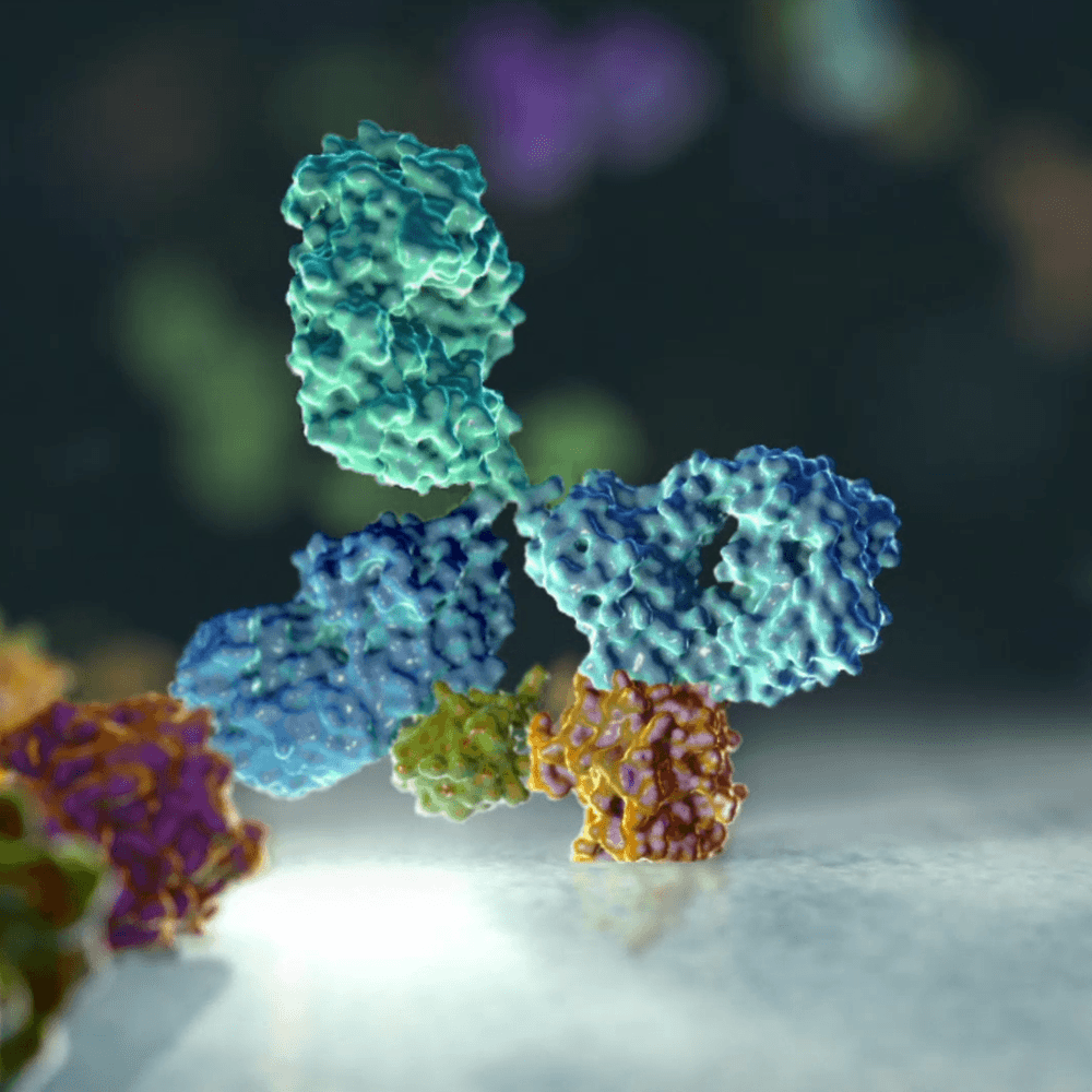 SNAPSHOT PROTEOMICS™