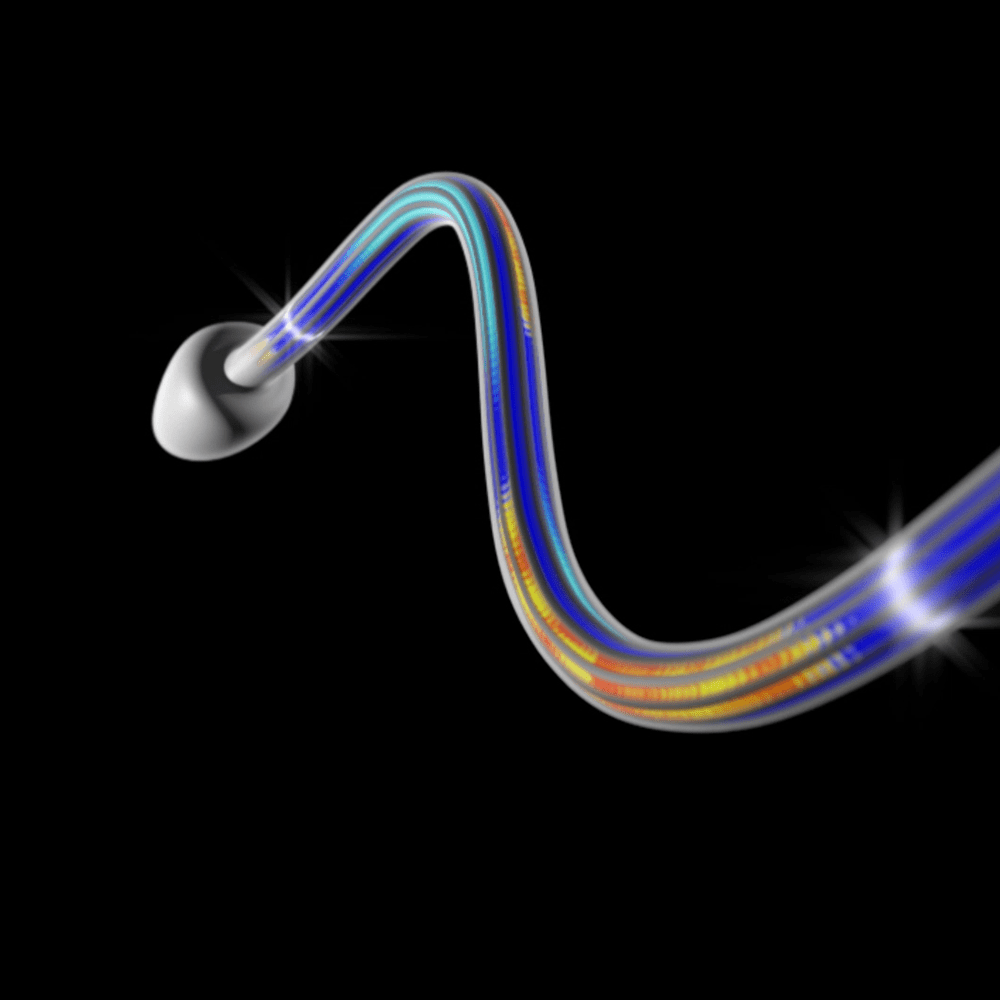 How Do Cilia and Flagella Move?