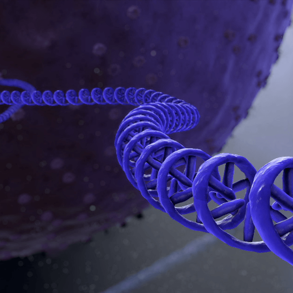 UNLOCKING THE MYSTERIES OF EXTRACELLULAR RNA COMMUNICATION