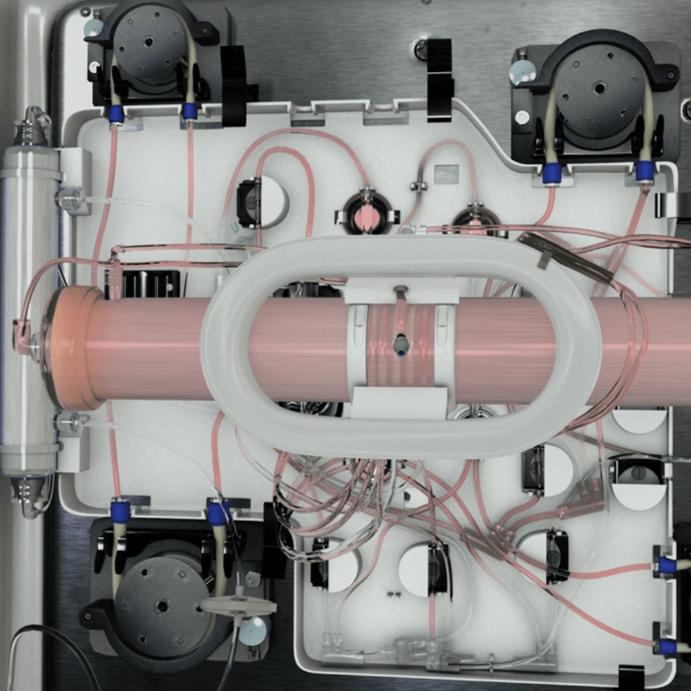 QUANTUM CELL EXPANSION SYSTEM