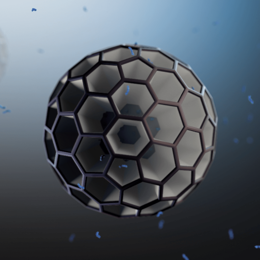 NANOT BIOANIMATION 2020
