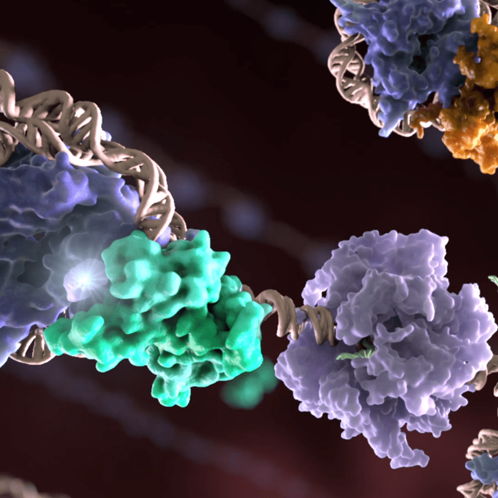SMALL MOLECULES FOR CANCER TREATMENT