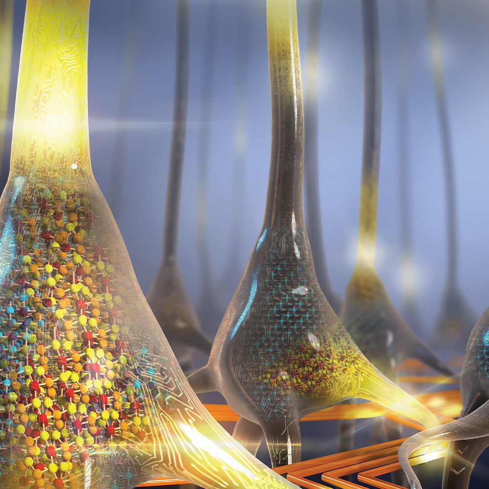 Nature Nanotechnology