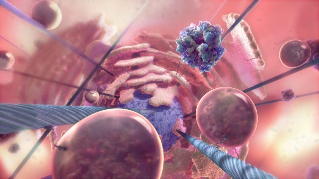 A colorful, abstract representation of intracellular activity. The image features spherical and clustered structures against a blurred pink background, with fibers and various cell-like forms, suggesting a microscopic view of biological processes.