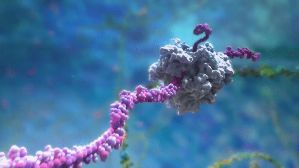 A 3D rendering of a molecular structure illustrates a helical strand entwined with a complex cluster of interconnected spheres, symbolizing DNA or protein interaction crucial in genetic engineering. The background is a soft, out-of-focus blue.