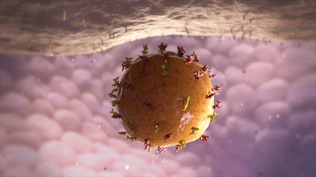 A spherical, influenza virus-like structure with red and green protein spikes floats against a soft, blurry background of purple and white hues. This dynamic form resembles a cellular environment where it adapts through antigenic drift.