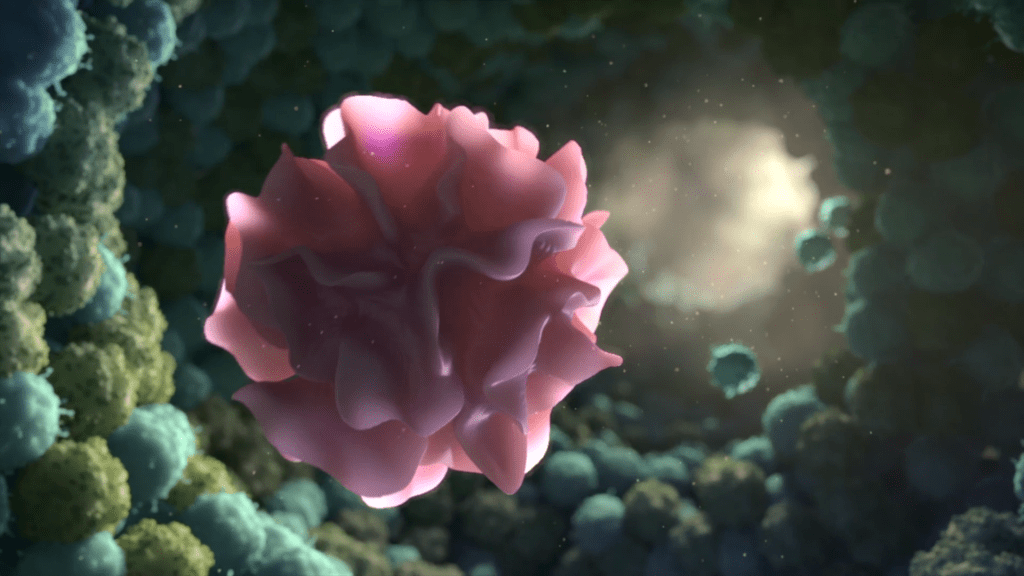 A detailed, artistic rendering of a pink, organic object with ruffled edges, suspended in space surrounded by teal and dark green spheres, reminiscent of the adaptive immune system. A soft light illuminates the background, creating a mysterious and ethereal atmosphere.