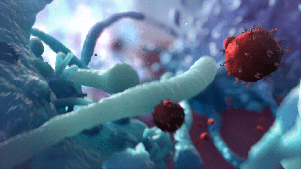 A close-up illustration of microscopic activity, featuring blue and red organic structures reminiscent of the innate immune system. The elongated blue structures and spherical, spiky red ones float in a blurred background, suggesting an intricate dance of immune response.