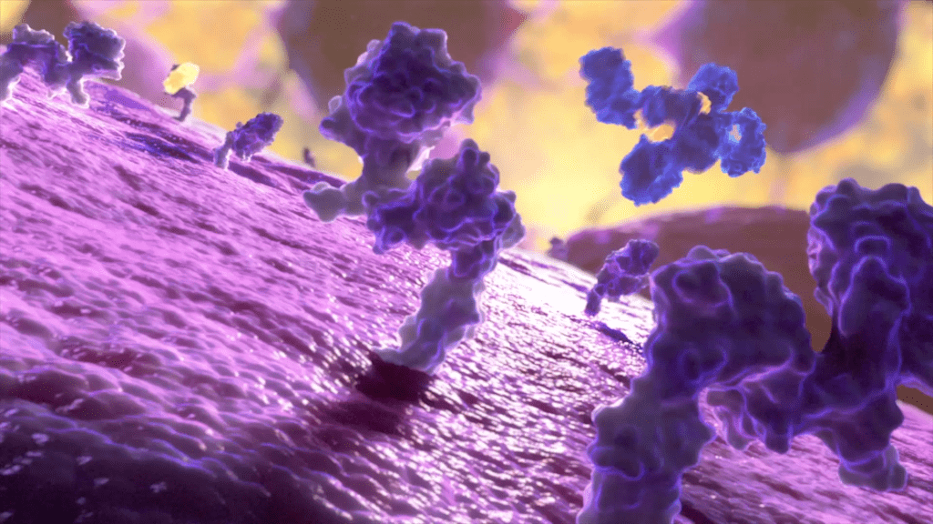 Illustration of how antibodies in shades of purple and blue interact with a cell surface, depicted as a textured pink landscape, set against a soft yellow and brown background. The vibrant scene offers insight into the immune systems complex workings.