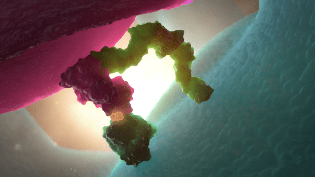 A colorful abstract representation of molecular structures in motion, featuring intertwined pink and green organic shapes. Set against a gradient background, the image evokes the dynamic dance of antibodies within the immune system, highlighting their vital function in maintaining health.