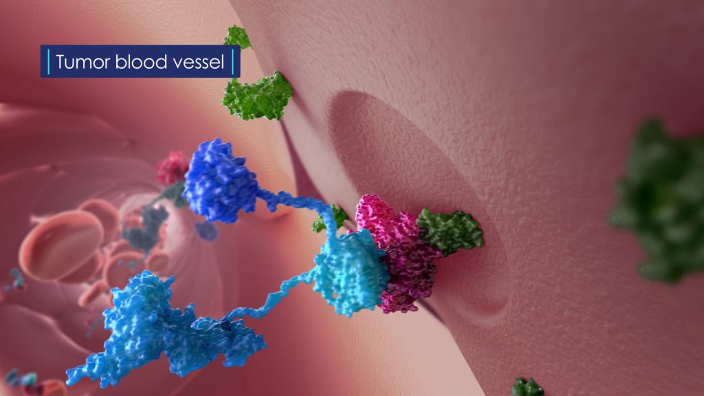 Illustration of molecules interacting with a tumor blood vessel. The background is a pinkish, textured surface, and various blue, green, and pink molecules are depicted in detail, showcasing their complex structures.
