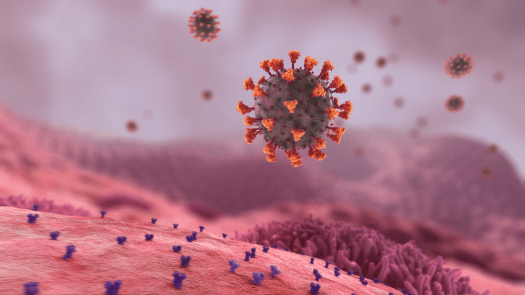 coronavirus