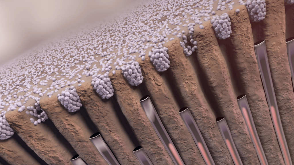 Close-up, detailed 3D illustration of a set of brown, rectangular structures with a textured surface reminiscent of oral care tools, topped with small, round white spheres. The arrangement resembles columns with a grainy, pebble-like layer on top against a soft, blurred background.
