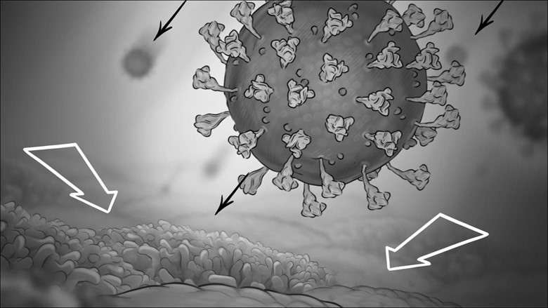 Black and white illustration of a magnified virus particle with spike proteins hovering above a textured surface, resembling a cellular structure. Like art and science intertwined, arrows point to the interaction between the virus and the surface below.