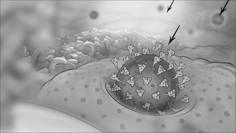 Illustration of a virus particle with spike proteins in a grayscale, cellular environment. Arrows point to parts of the cell, highlighting interaction points and infection process. This medical animation seamlessly blends art and science to reveal the intricate structure of the virus.