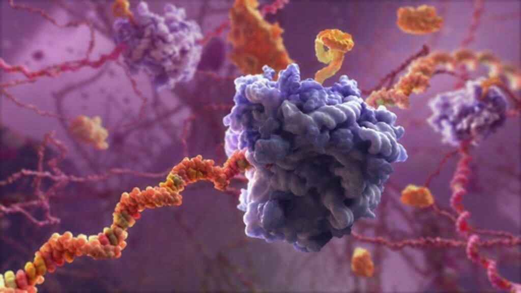 A captivating medical animation presents a detailed molecular illustration of a complex biological structure, where a blue protein-like mass intertwines with orange and yellow coiled strands. The soft purple background, woven with faint fibers, beautifully merges art and science.