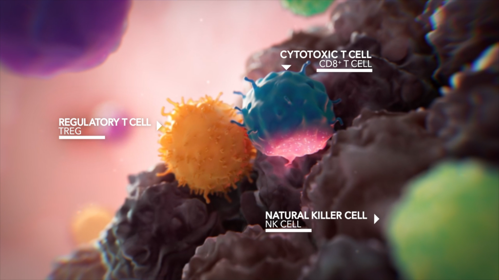 Illustration of immune cells: a blue cytotoxic T cell, an orange regulatory T cell, and a pink natural killer cell. These animated cells interact on a textured surface labeled accordingly, demonstrating the MOA of Ociperlimab in action.