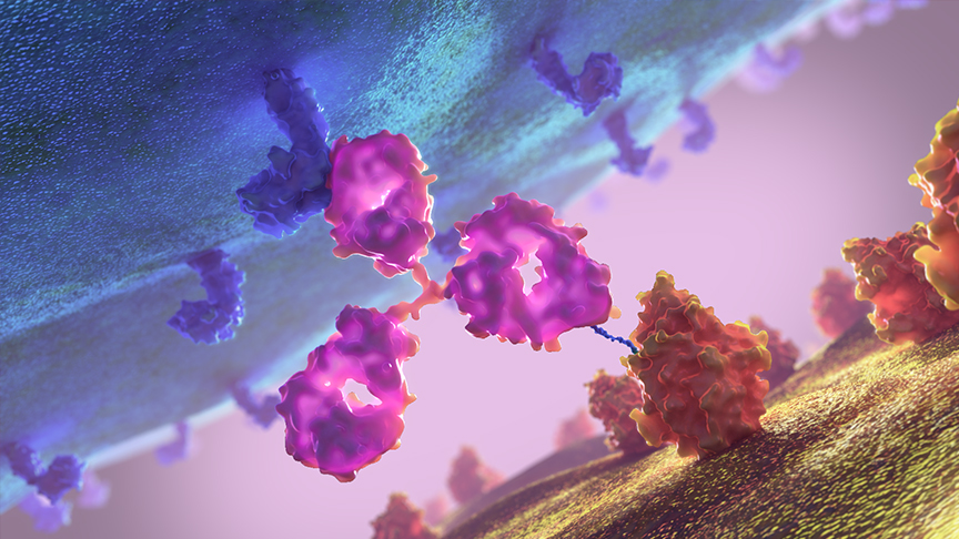 A 3D rendering of antibodies binding to antigens on the surface of a cell. The antibodies are depicted as pink and violet, attaching to yellow-orange antigens against a blurred purple and green background.