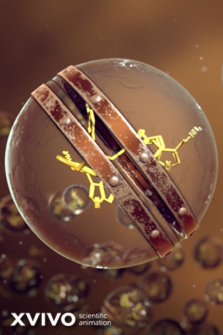 A detailed scientific animation of a molecular structure floating in a brownish environment, featuring a spherical, translucent shape with yellow symbols and two brown, segmented bands encircling it. The image includes a watermark: XVIVO scientific animation.