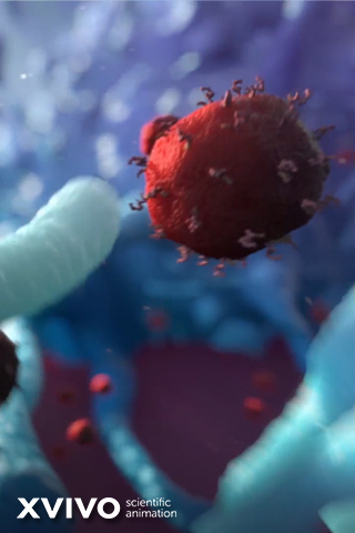 A 3D animation of a red virus-like particle surrounded by abstract blue and green shapes, suggesting a microscopic view. The image is branded with XVIVO scientific animation in the corner.
