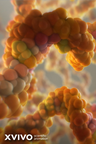 A close-up of a colorful, abstract molecular structure with interconnected spheres in various shades of orange, yellow, and green. The background is blurred, giving focus to the molecule. XVIVO scientific animation is displayed in the bottom left corner.